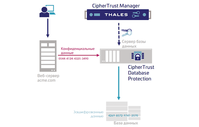 Функциональная архитектура модуля CipherTrust Database Protection из состава CipherTrust Data Security Platform